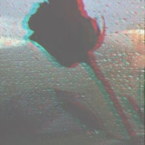 Meet your Posher, Jazmin